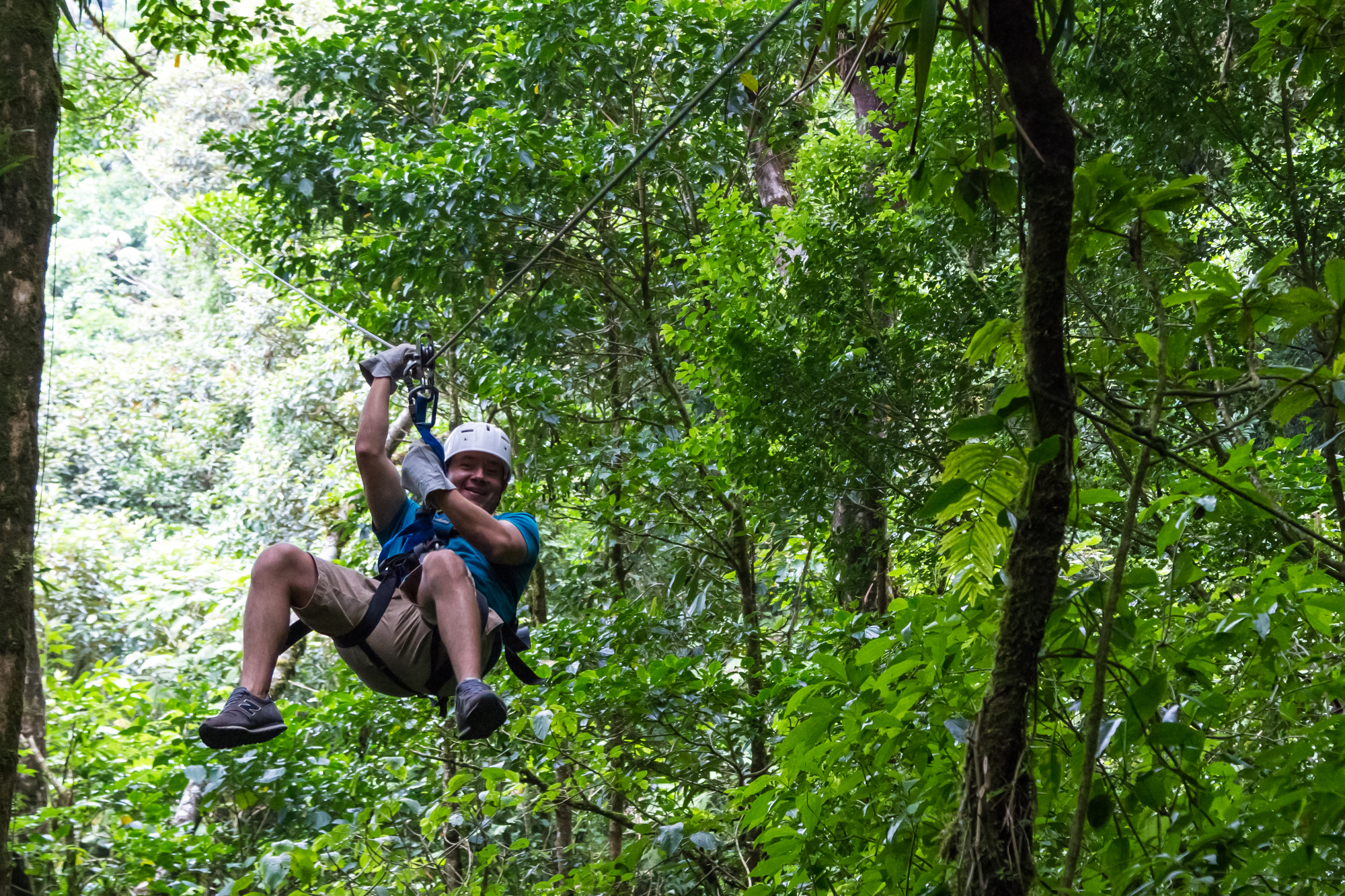 Zipline je postal res zelo popularen